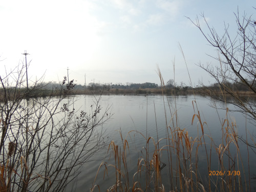 P1040034.JPG