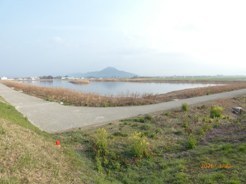 P1040045.JPG