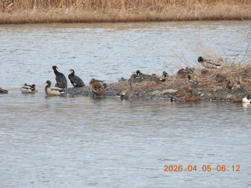 DSCN3285.JPG