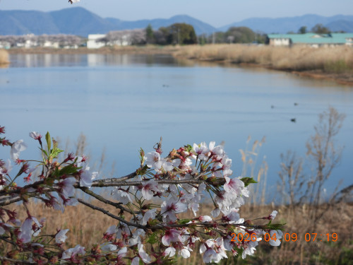 DSCN3387.JPG