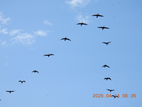 DSCN3433.JPG