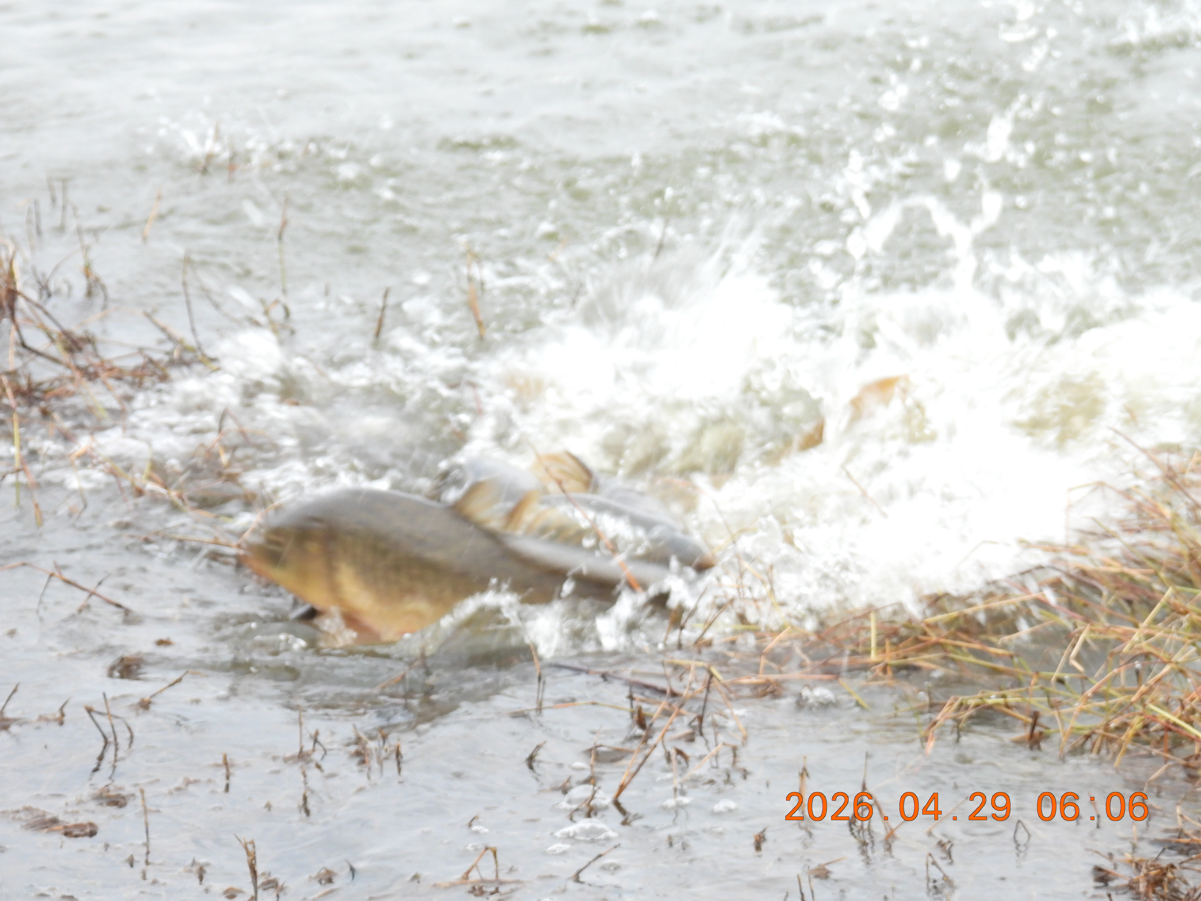 DSCN3584.JPG