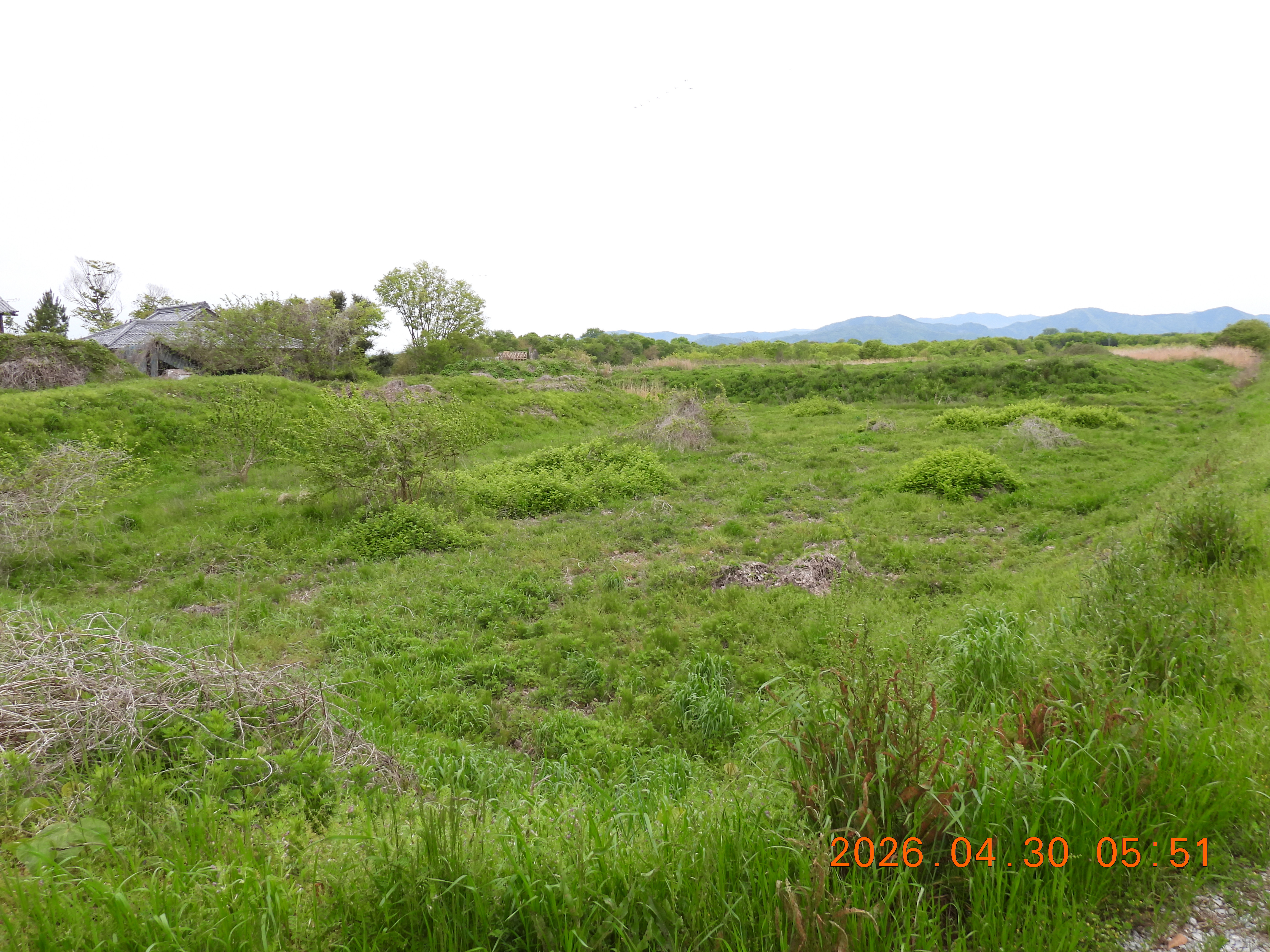 DSCN3668.JPG
