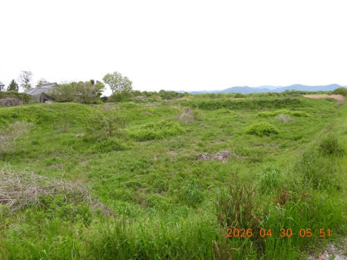 DSCN3668.JPG