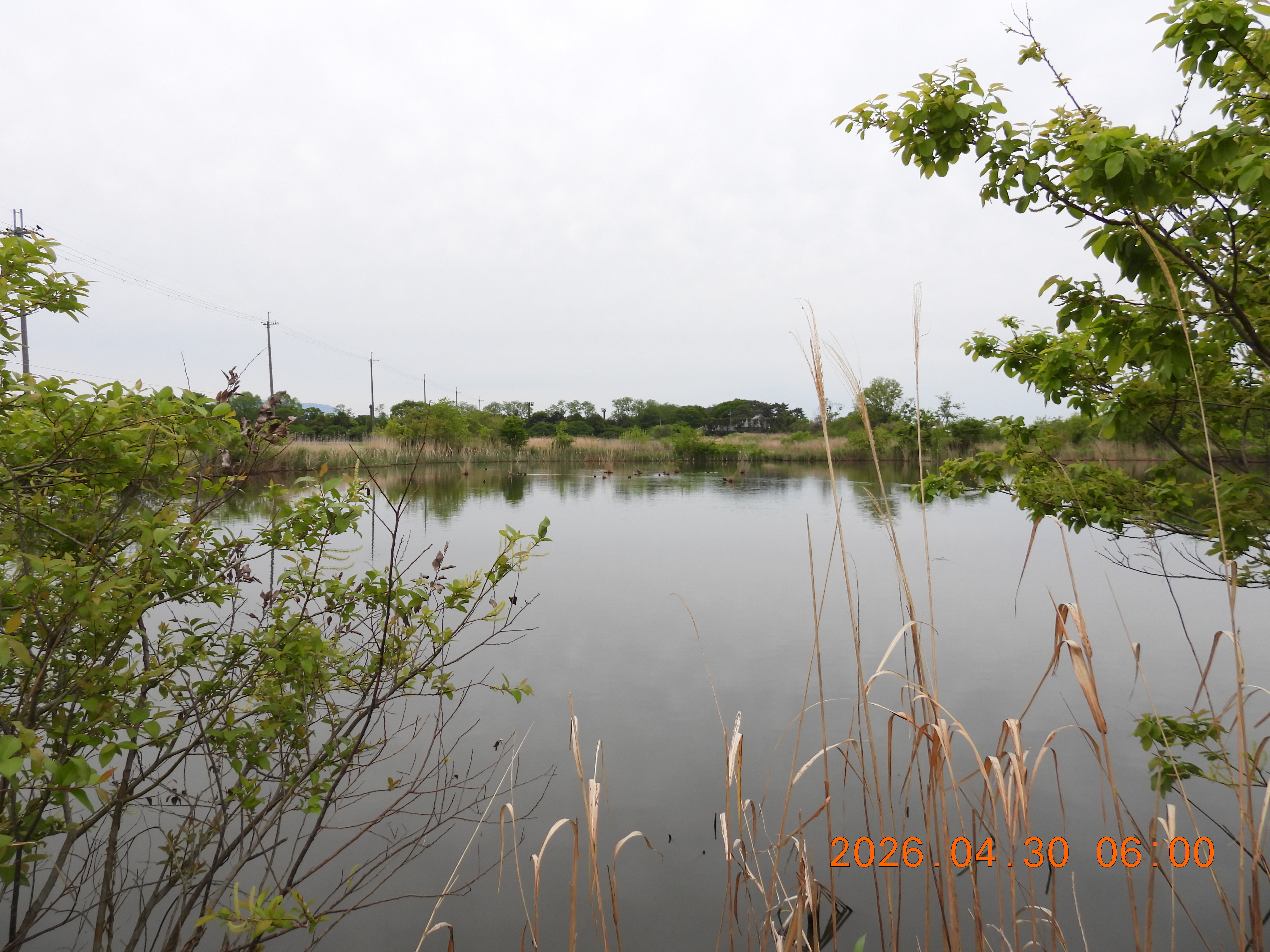 DSCN3671.JPG