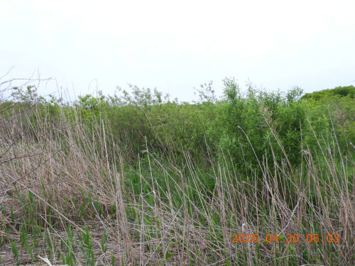 DSCN3673.JPG