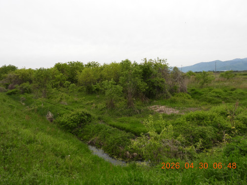 DSCN3682.JPG