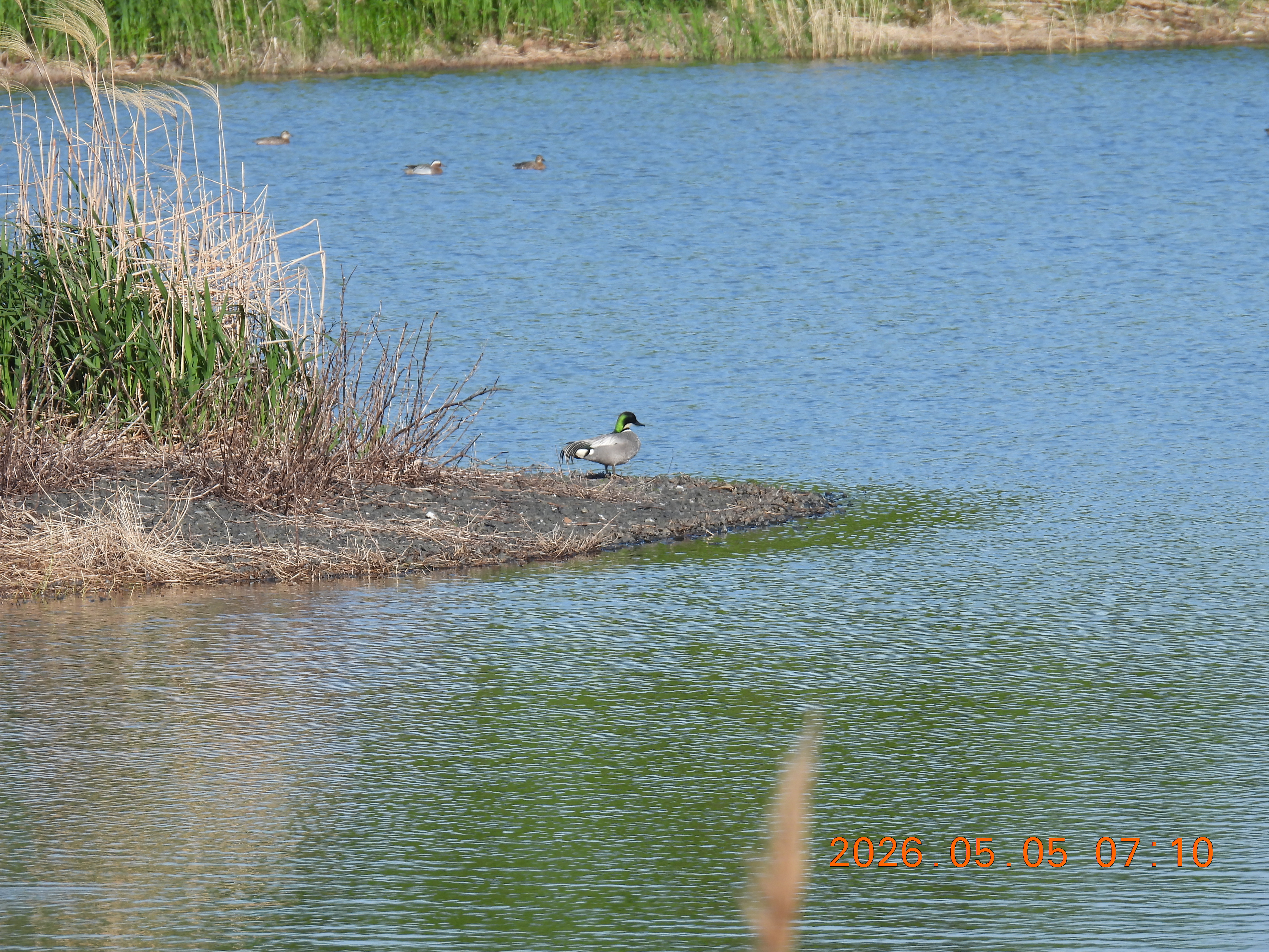DSCN3750.JPG