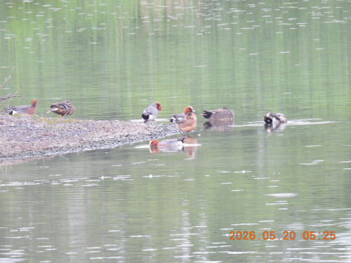 DSCN3898.JPG