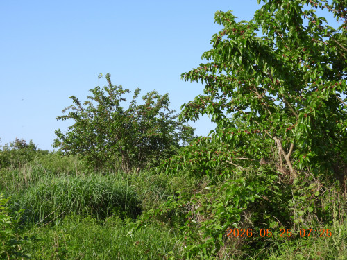 DSCN4025.JPG
