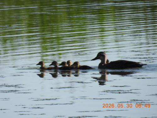 DSCN4073.JPG