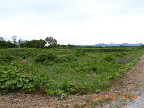 DSCN4100.JPG