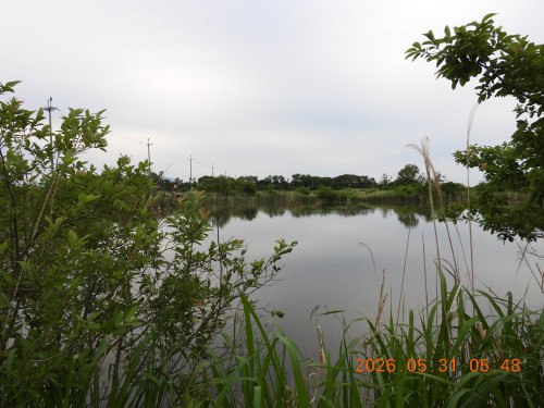 DSCN4103.JPG