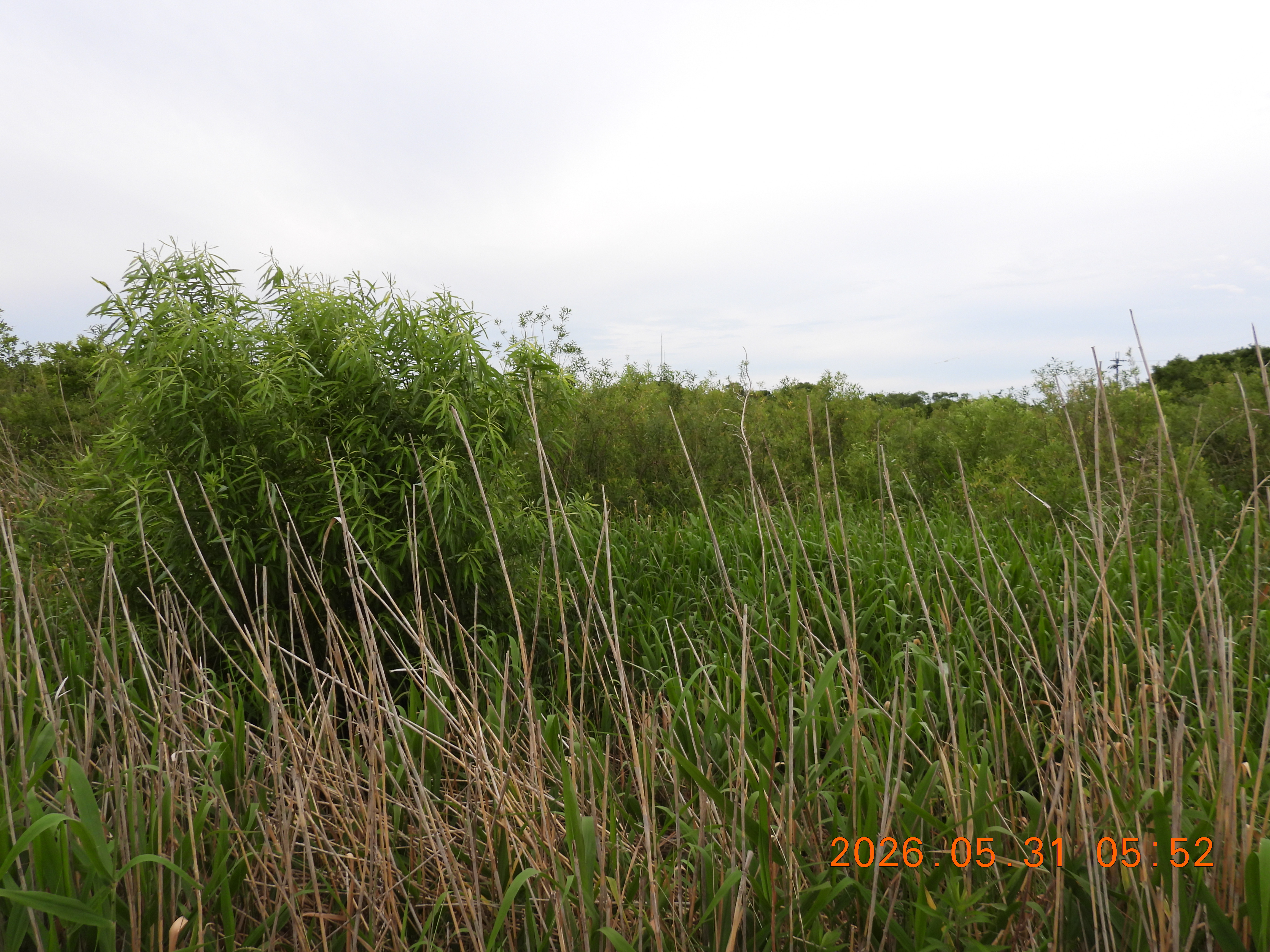 DSCN4104.JPG