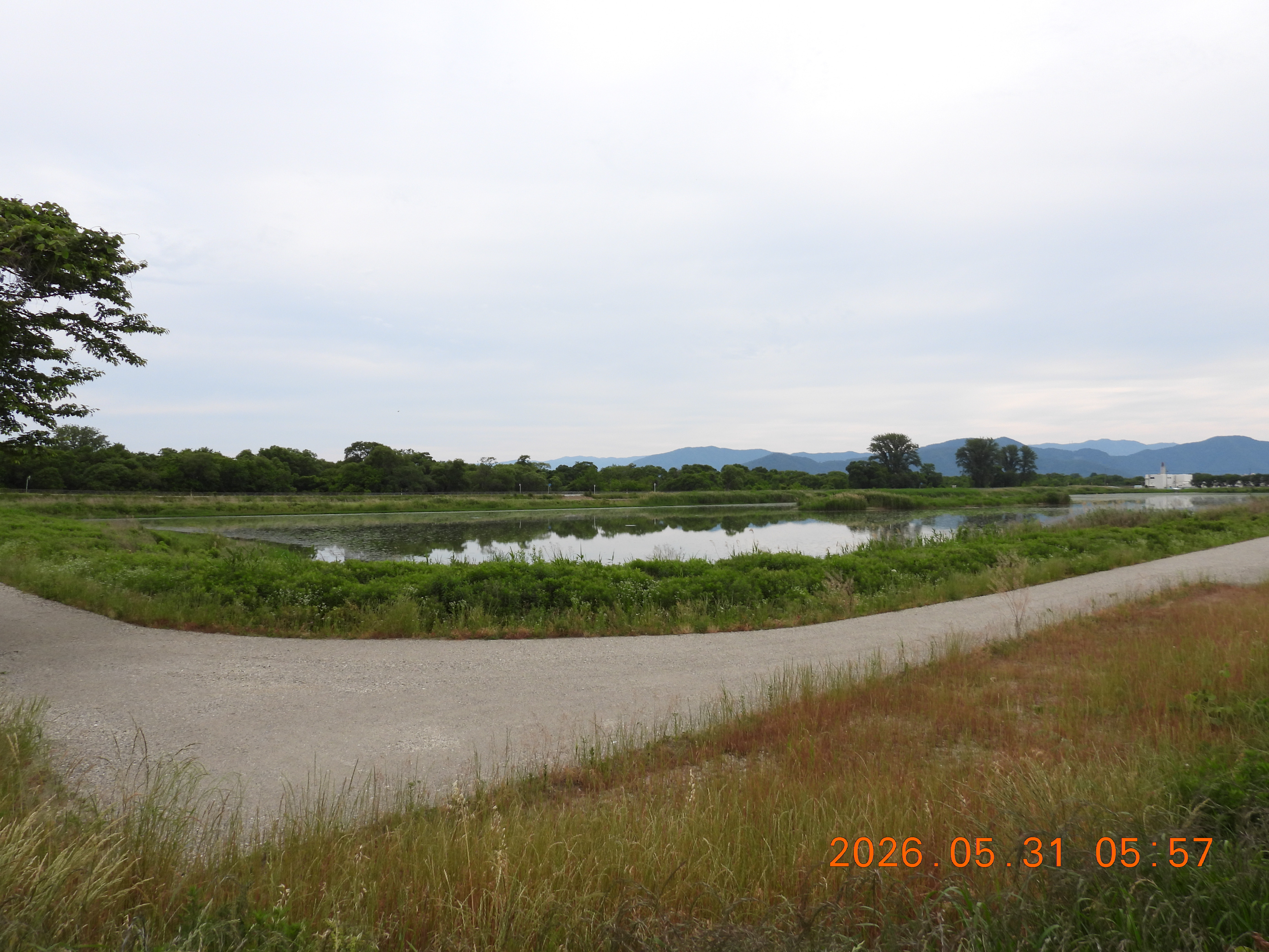 DSCN4107.JPG
