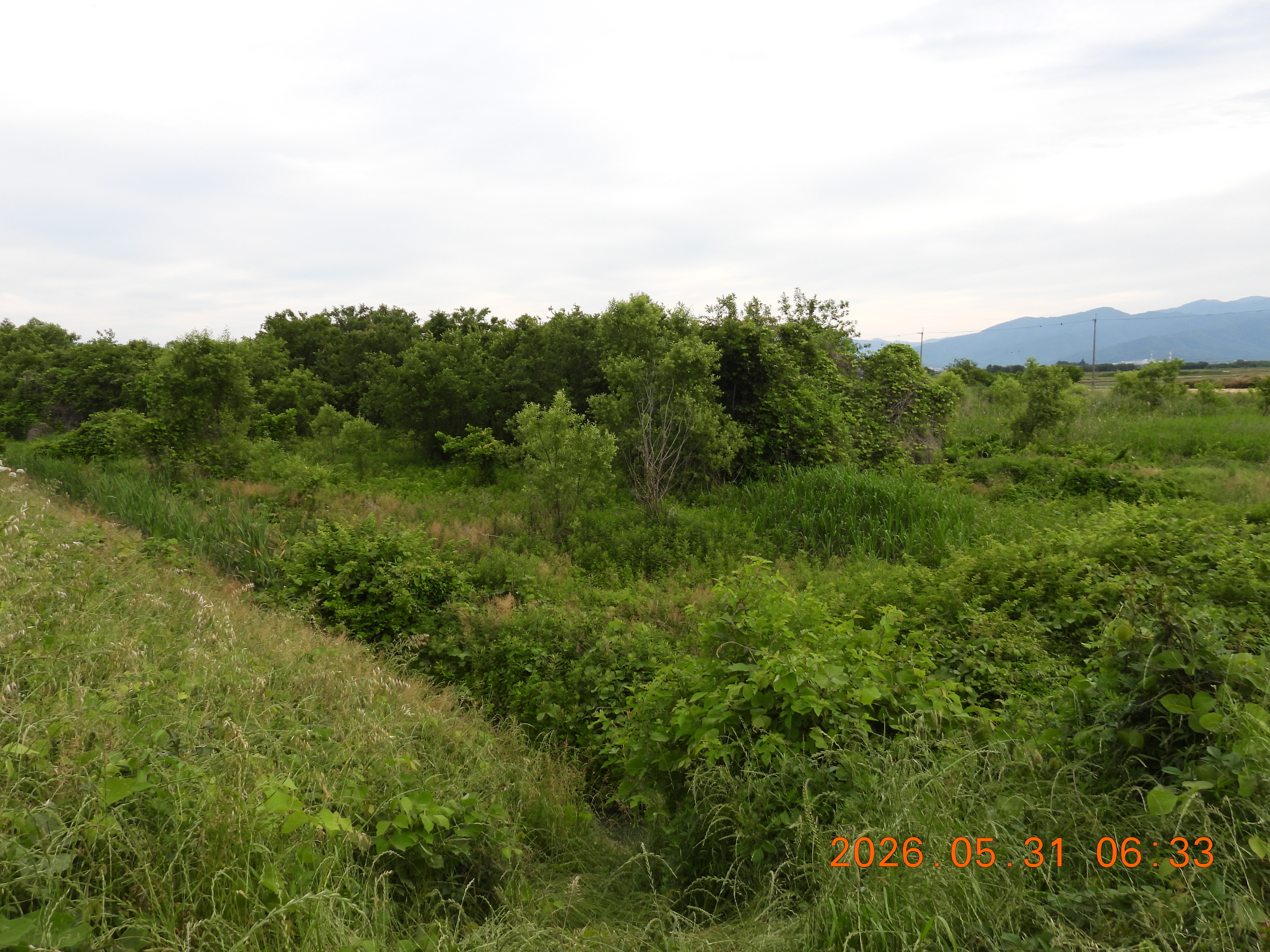 DSCN4112.JPG