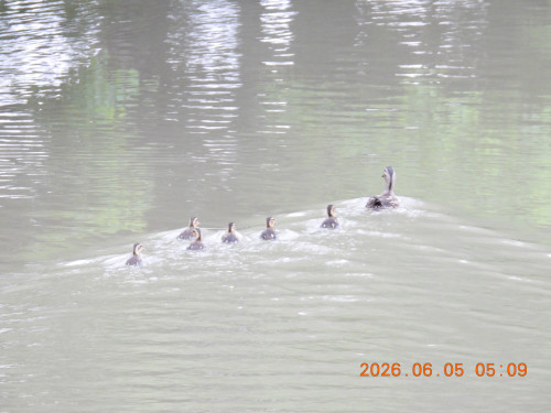 DSCN4113.JPG