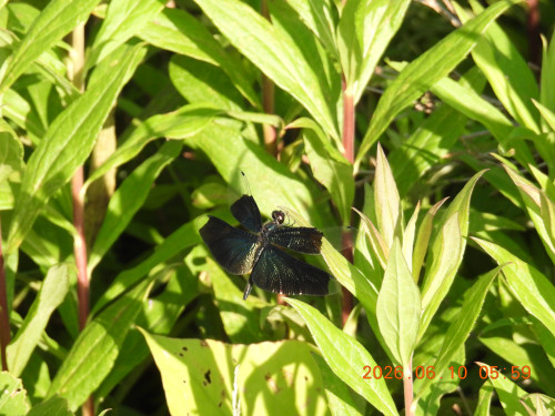 DSCN4192.JPG