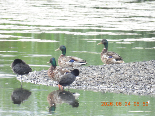 DSCN4428.JPG