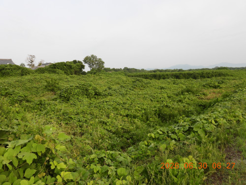 DSCN4503.JPG