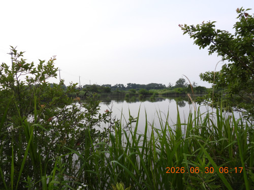 DSCN4500.JPG