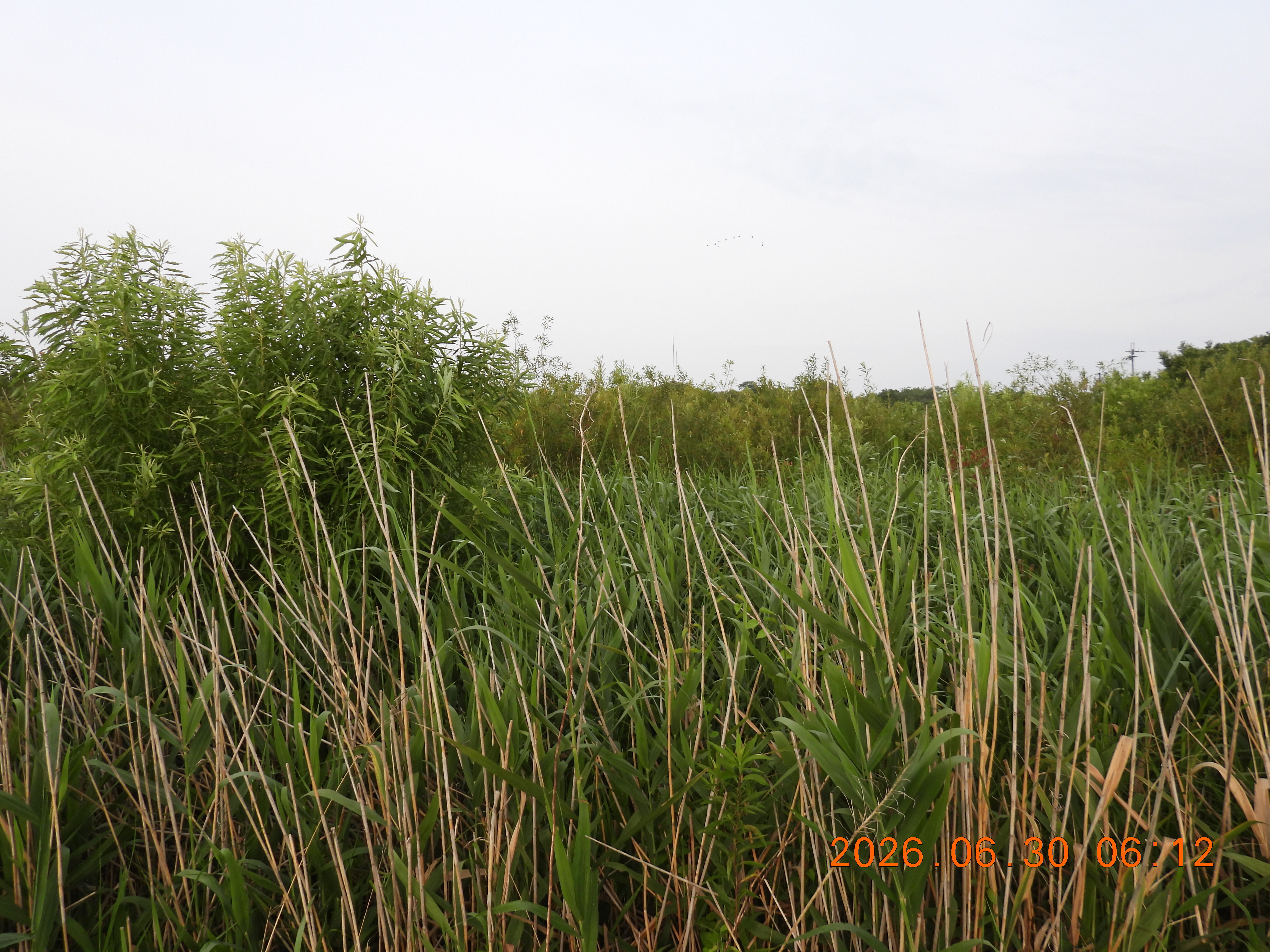 DSCN4492.JPG