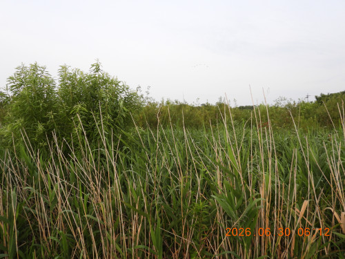 DSCN4492.JPG