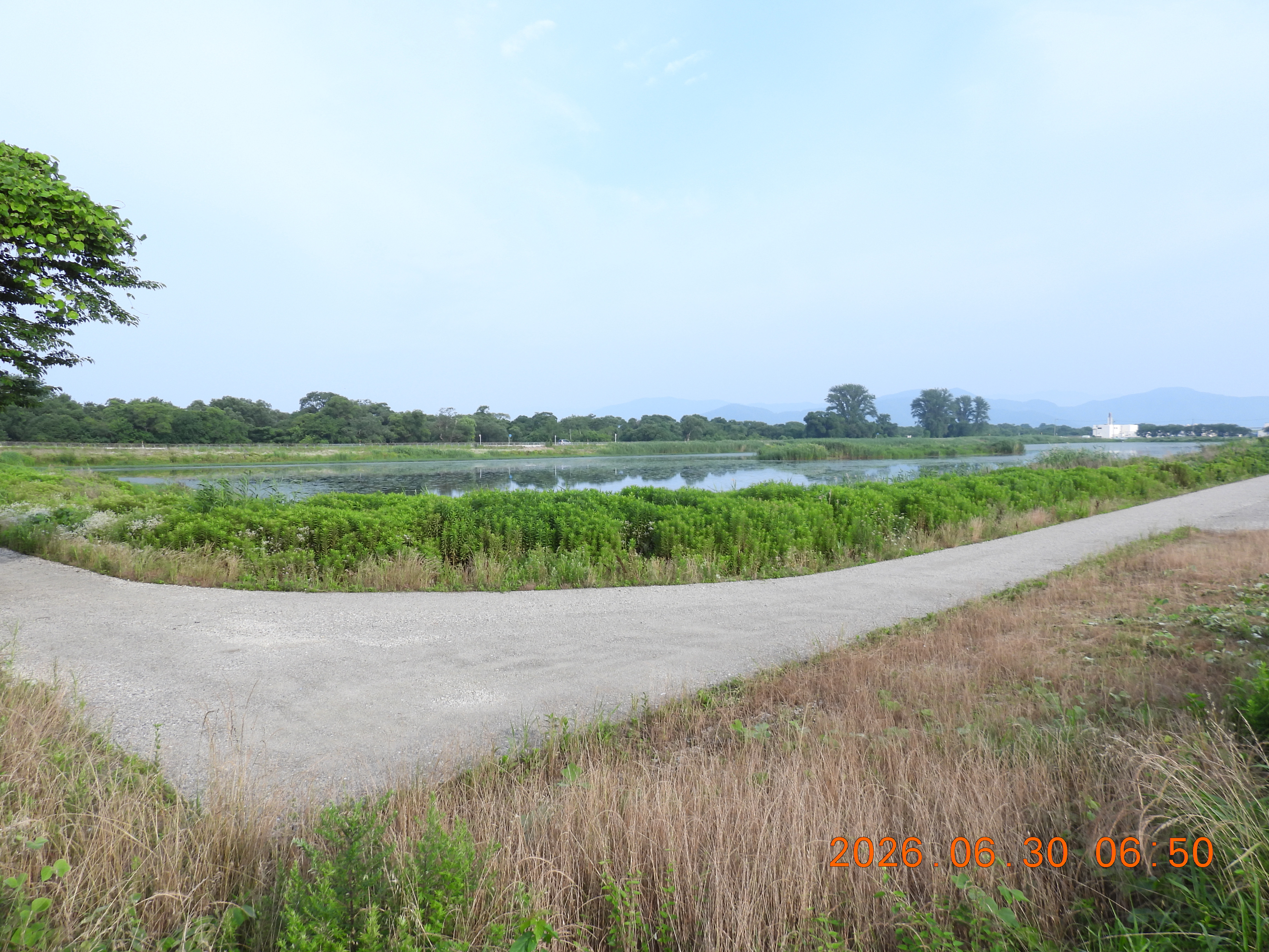 DSCN4516.JPG