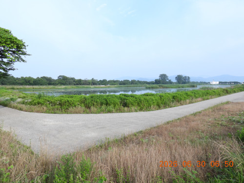 DSCN4516.JPG