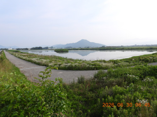 DSCN4513.JPG