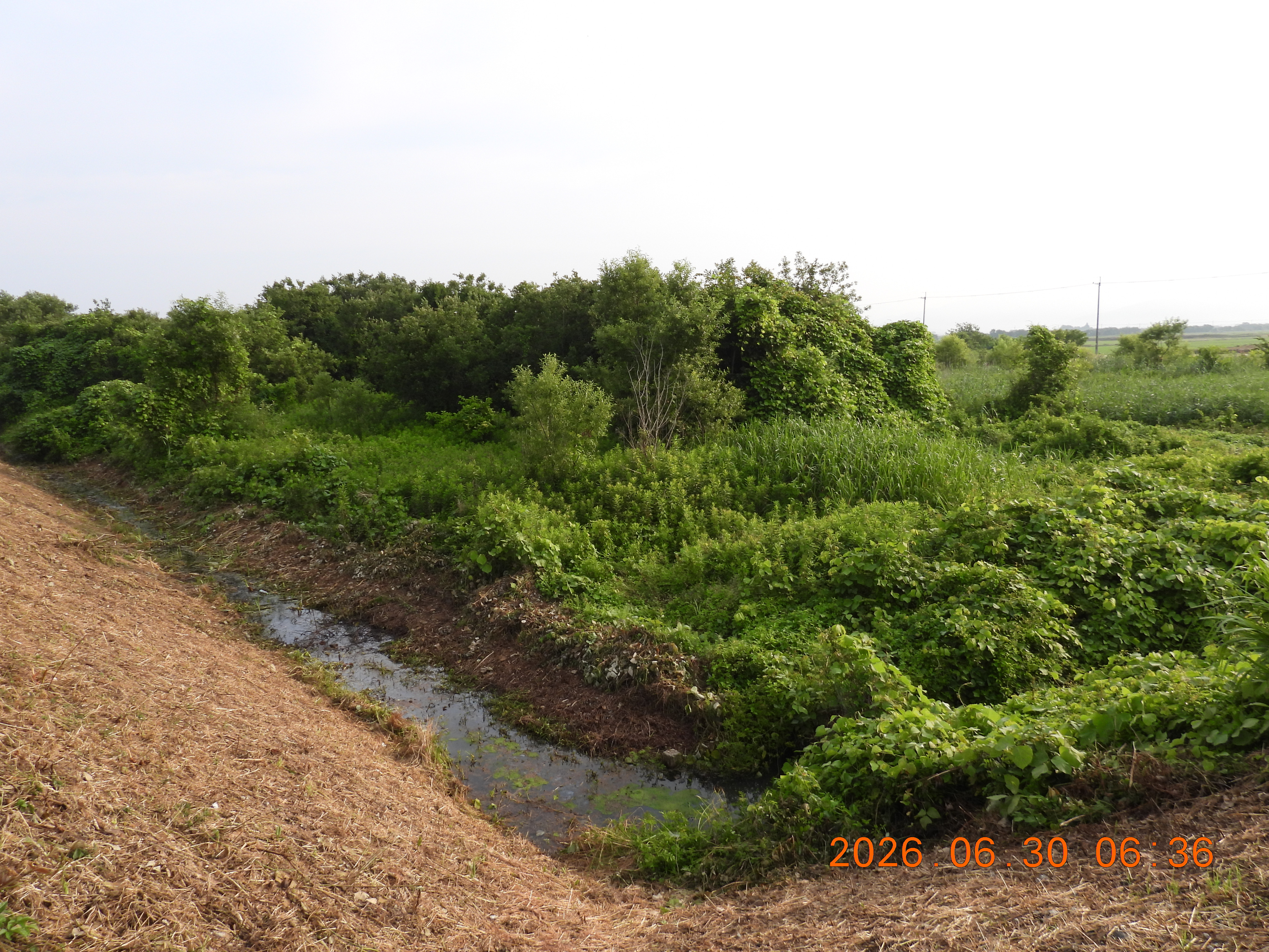 DSCN4512.JPG