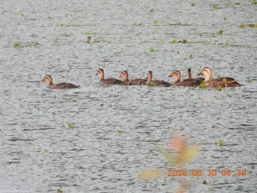 DSCN4470.JPG