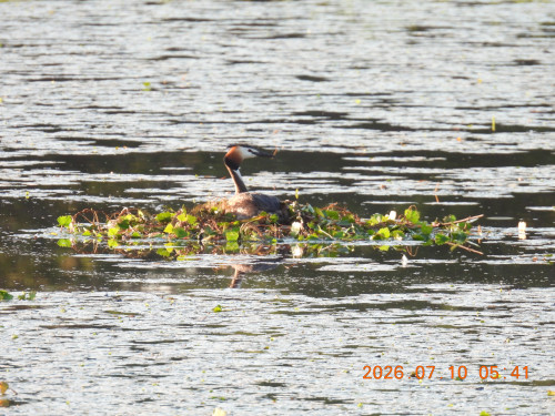 DSCN4585.JPG