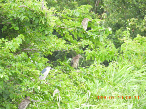 DSCN4749.JPG