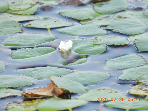 DSCN4769.JPG