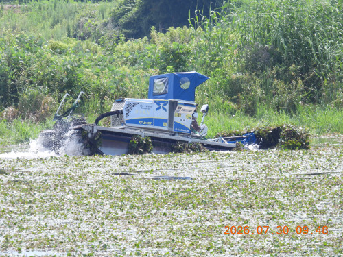 DSCN4917.JPG
