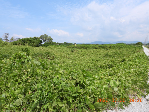 DSCN4910.JPG
