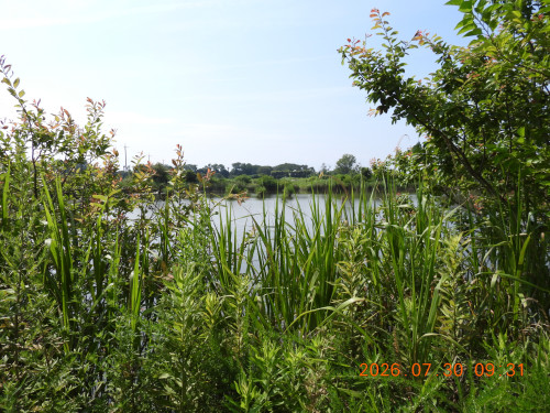 DSCN4911.JPG
