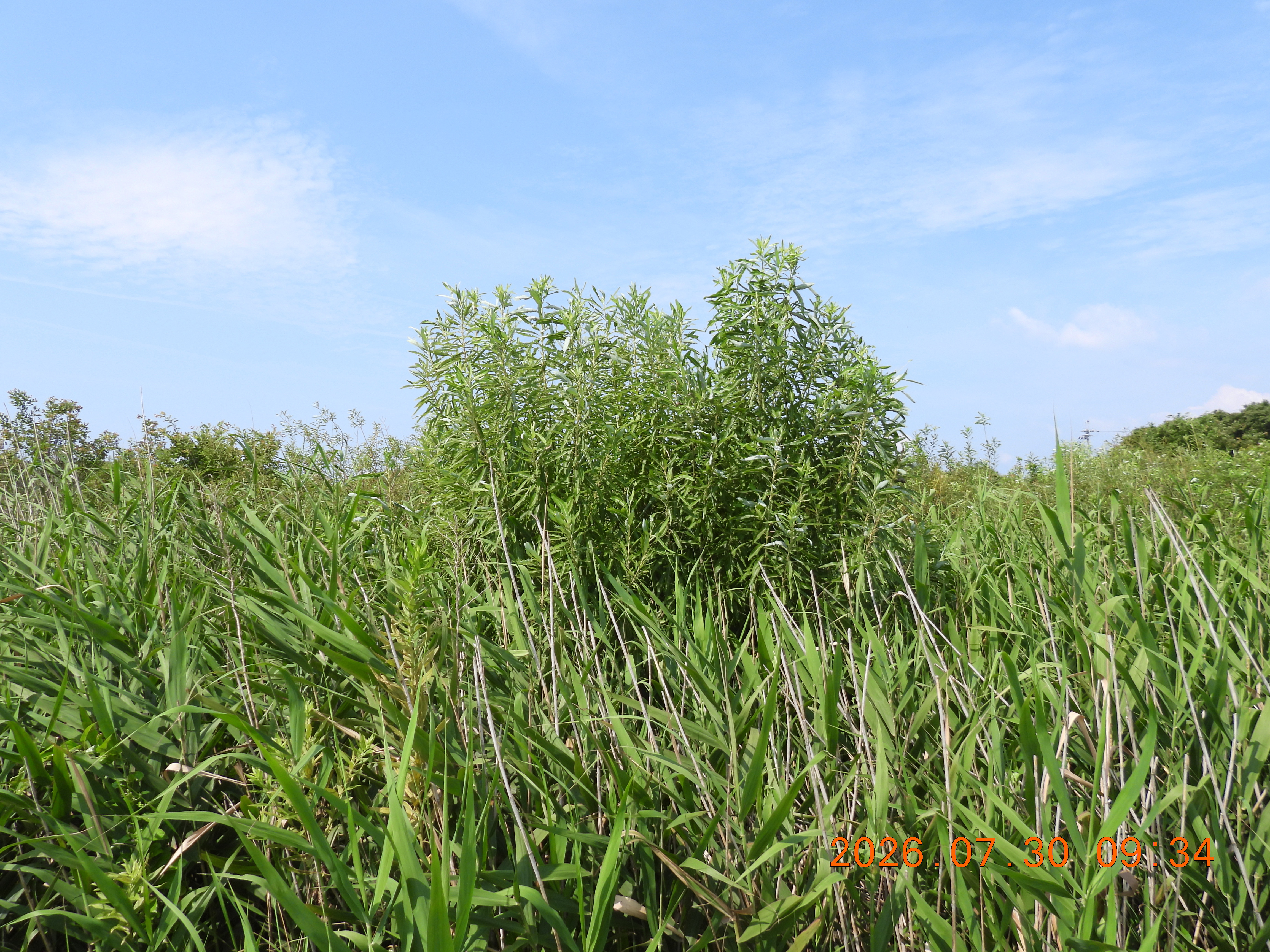 DSCN4914.JPG