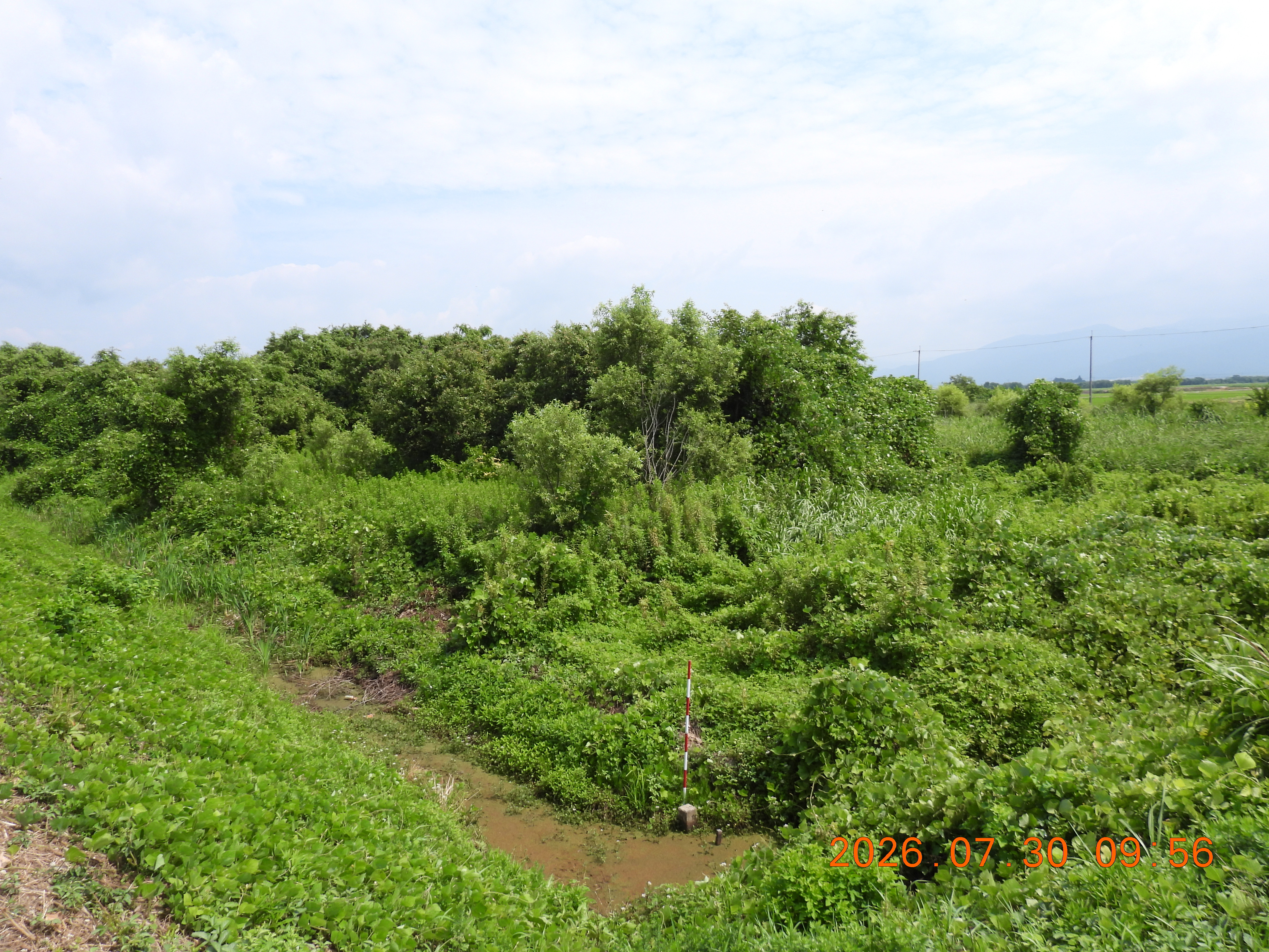 DSCN4925.JPG