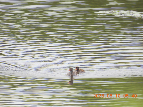 DSCN5035.JPG