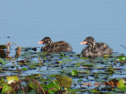 DSCN5135.JPG