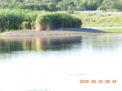 DSCN5221.JPG
