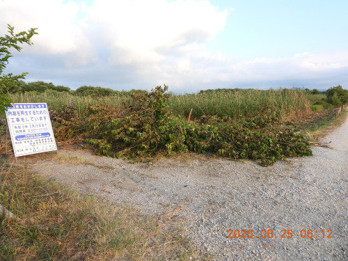 DSCN5248.JPG