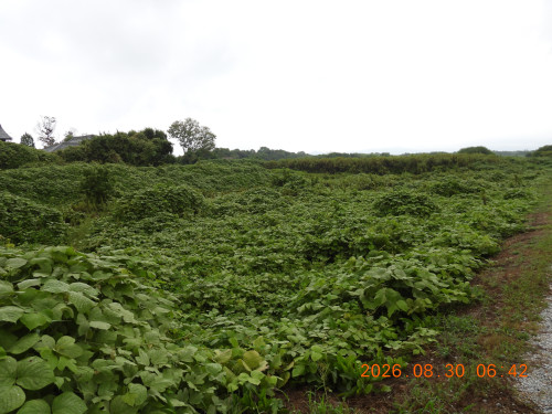 DSCN5361.JPG