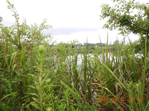 DSCN5336.JPG