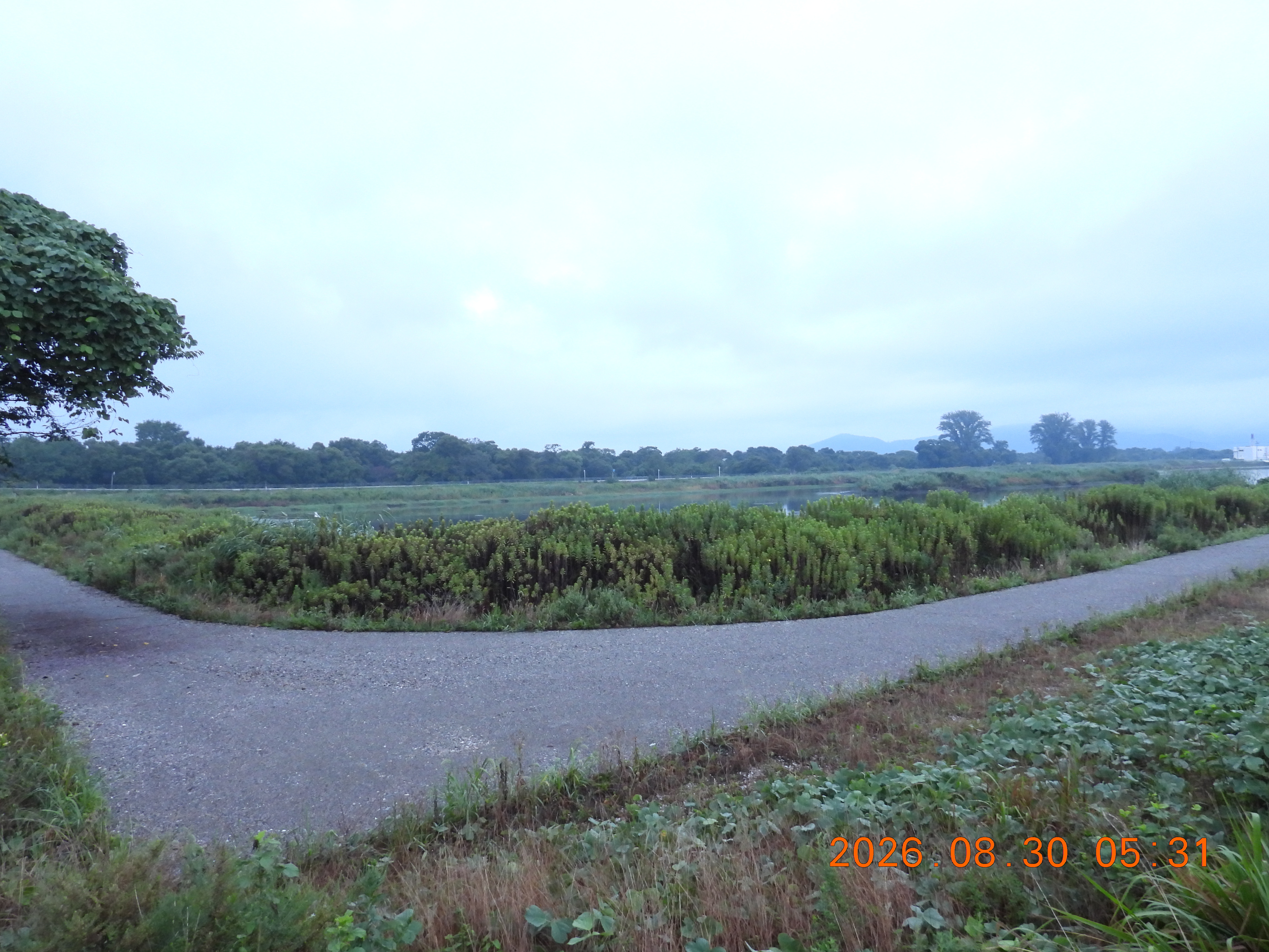 DSCN5300.JPG
