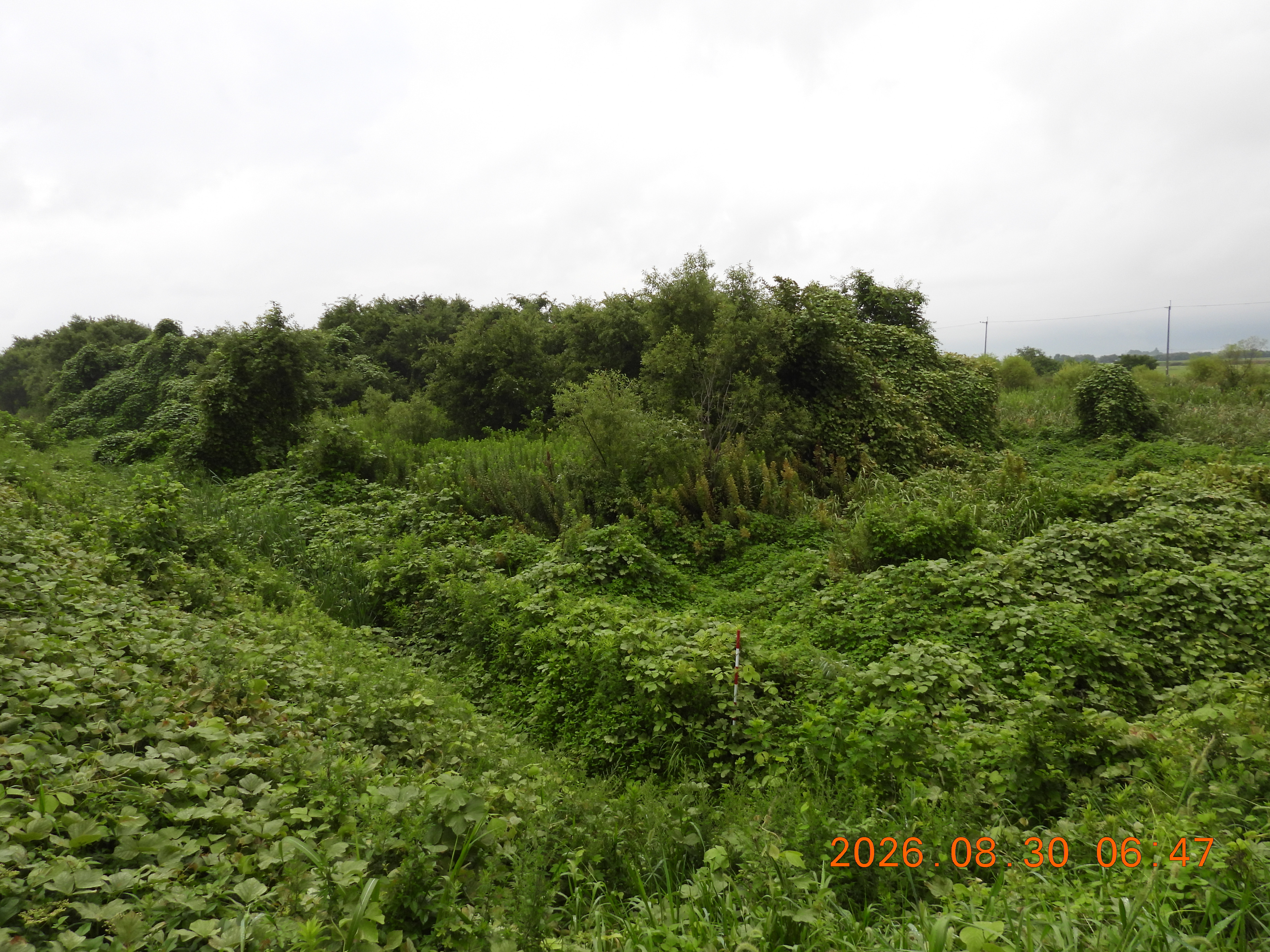 DSCN5363.JPG