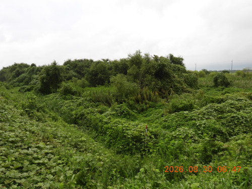 DSCN5363.JPG