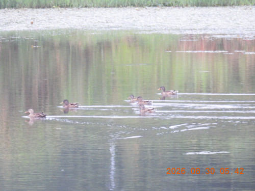 DSCN5306.JPG